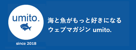 海と魚がもっと好きになるウェブマガジン umito